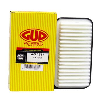 Filtro de Ar AG1519 GUD