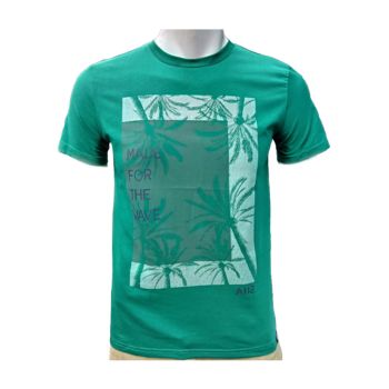 Camiseta Masculina AIIZ Made For the Wave, Verde
