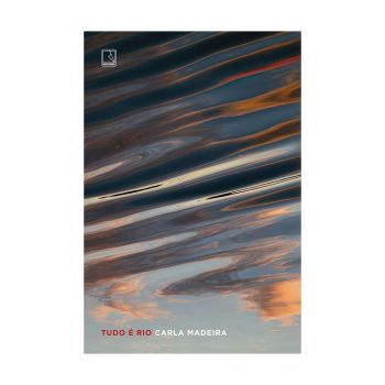 Tudo é Rio. De Carla Madeira, Editora Record