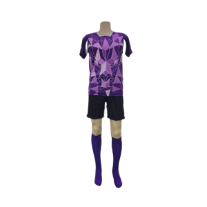 Kit Equipamento de Futebol Leão, Lilás Tamanhos Variados