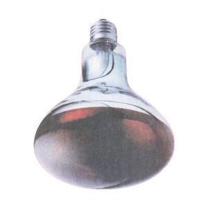 Lâmpada Aquecimento de Animais, 250w