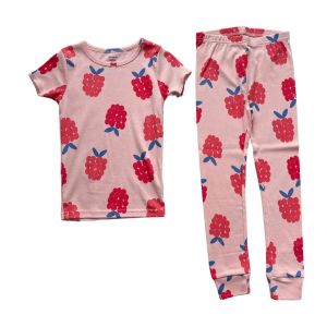 Conjunto de Pijama Infantil Carters 5 Anos, Rosa