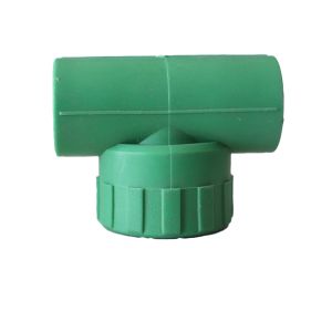 Te Rosca Fêmea ppr 1/2